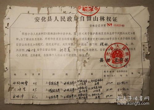 安化县人民政府自留山林权证 1982年 安化 林权证