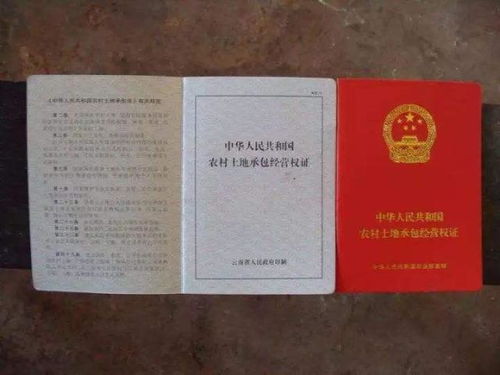 不动产证是什么 有了这个 房产证 就没用